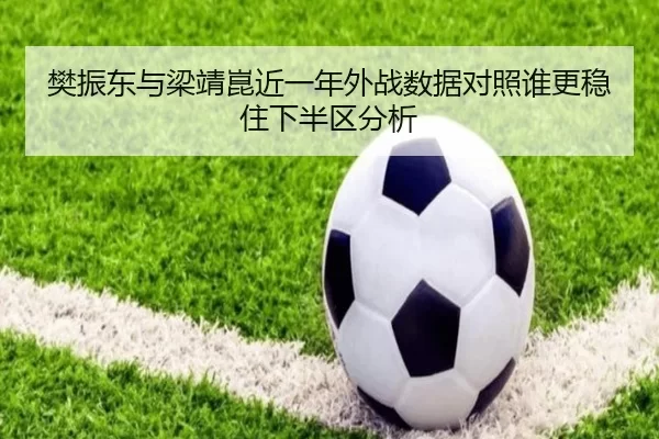 樊振东与梁靖崑近一年外战数据对照谁更稳住下半区分析